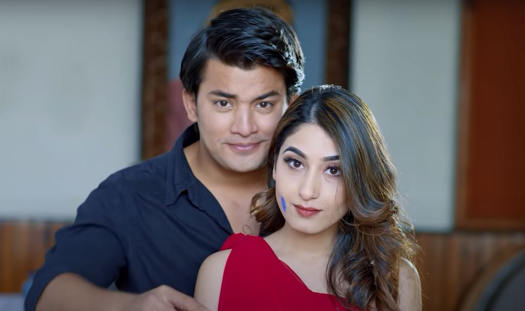 मनमोहन थपलियाको ‘तिम्रो साथले’ सार्वजनिक